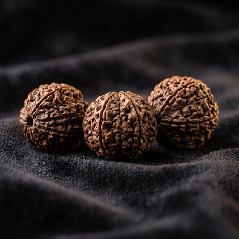 5 Mukhi Rudraksha